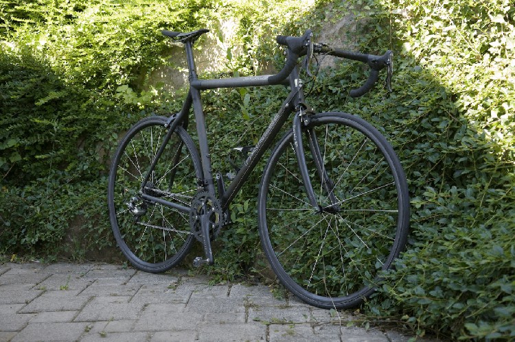 Martin Bosch - Parlee Z2 custom