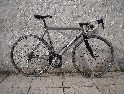 Burls Titanium