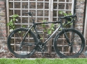 Colnago